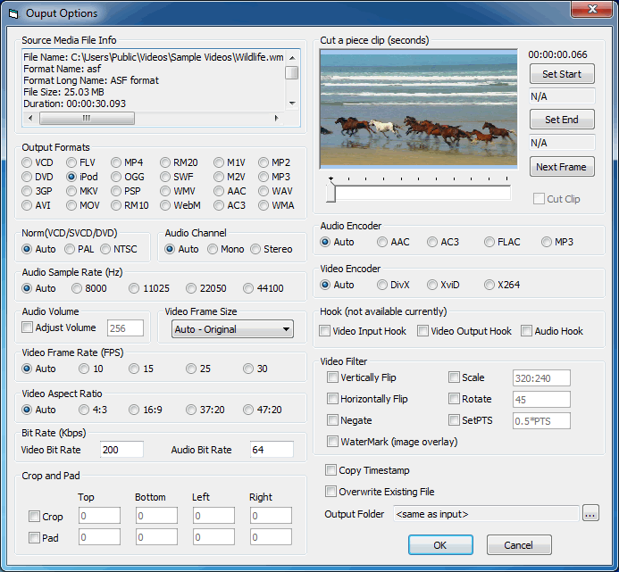 Option Form Screenshot of Video Converter Demo - ActiveX FFmpeg OCX Controls